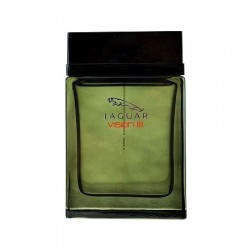 Jaguar Vision III woda...