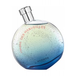 Hermès L'Ombre Des...
