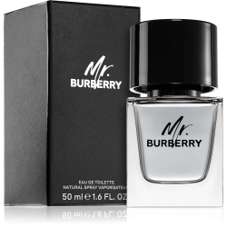 Burberry Mr. burberry woda...