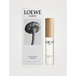 Miniaturka Loewe Earth...