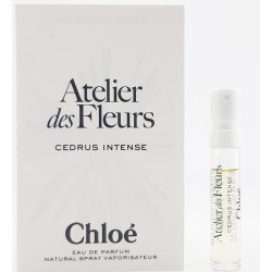 Mini Chloe Atelier Des...