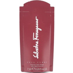 Mini Salvatore Ferragamo...